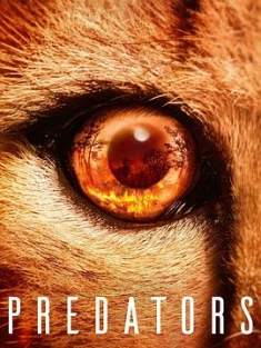 食肉动物 Predators (2022) / Predators - Jäger in Gefahr(德) / 捕食者の世界(日) / Predadores do Mundo Animal(巴西) / 4K纪录片下载 / Predators.2022.S01.2160p.NF.WEB-DL.DDP5.1.Atmos.DV.HDR.H.265-FLUX