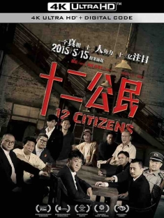 十二公民 (2014) 12公民/十二个中国人/12 Citizens/中国大陆/豆瓣: 8.4