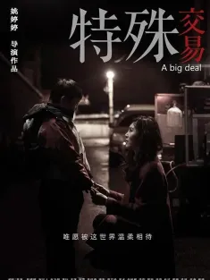 特殊交易 2013 A Big Deal