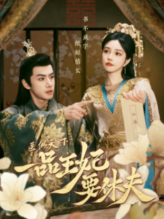 短剧《医倾天下一品王妃要休夫》(96集) 网盘在线观看