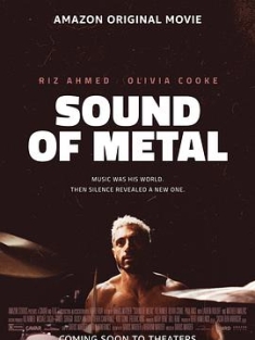 金属之声 Sound.of.Metal.2019.2160p.BluRay.REMUX.HEVC.DTS-HD.MA.5.1-FGT