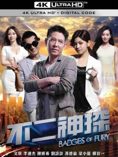 不二神探 (2013) Badges of Fury/中国大陆/豆瓣: 4.8