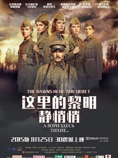 这里的黎明静悄悄 А зори здесь тихие... (2015) / A zori zdes tikhie... / The Dawns Here Are Quiet / 4K电影下载 / A.zori.zdes.tikhie.2015.2160p.WEB-DL.H265.AAC