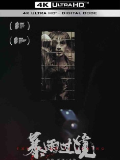 暴雨过境 (2023) The Storm is Coming [中国大陆]豆瓣:
