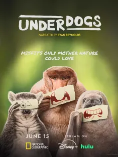 失败者 Underdogs 2025
