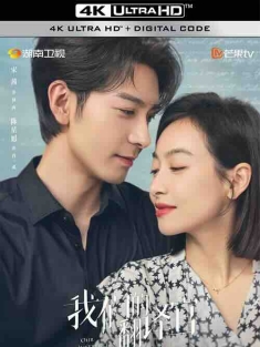 我们的翻译官 (2024) / 4K电视剧下载