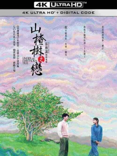 山楂树之恋 (2010) / 山楂树 / Under the Hawthorn Tree / 4K电影下载 / Under.the.Hawthorn.Tree.2010.2160p.WEB-DL.H265.AAC