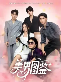 美男图鉴（80集）