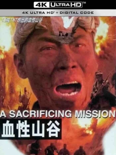 血性山谷 (2001) A Sacrifcing Mission/中国大陆/豆瓣: 7.3