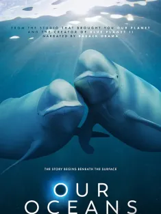 我们的海洋 Our Oceans 2024