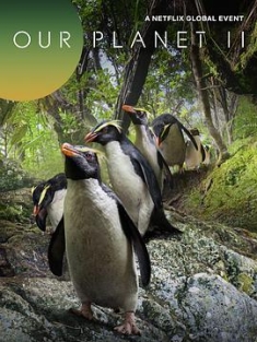 我们的星球 第二季 Our Planet Season 2 (2023) / Our Planet II / Our.Planet.2019.S02.2160p.NF.WEB-DL.DDP5.1.HDR.HEVC-NTb