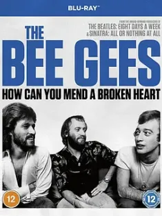 比吉斯：如何修复受伤心灵 The Bee Gees: How Can You Mend a Broken Heart (2020) /美国/豆瓣: 8.9