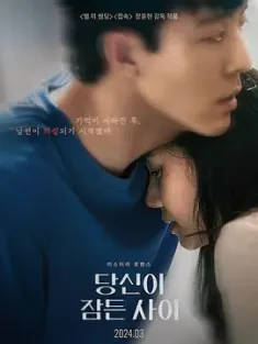 当你沉睡时 당신이 잠든 사이 (2024) /豆瓣: