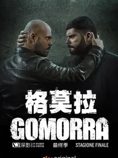 格莫拉 第1-5季 Gomorra: La serie Season 1-5 2021 格莫拉 最终季