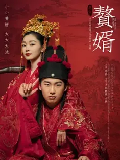 赘婿 2021 My Heroic Husband [中国大陆] 豆瓣：6.3