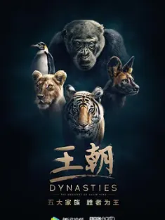王朝 第一季 Dynasties.2018.S01.2160p.BluRay.HEVC.DTS-HD.MA.5.1-HDBEE