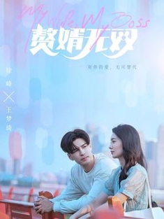 赘婿无双 (2023) / My Wife, My Boss / 4K电视剧下载 / 夸克网盘分享