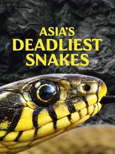 《亚洲毒蛇之最 Asia's Deadliest Snakes 2011》