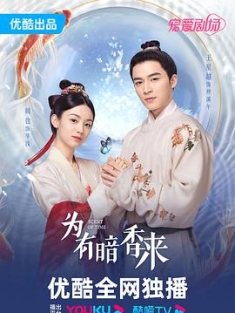 为有暗香来 (2023) / 洗铅华 / 4K电视剧下载 / 阿里云盘分享