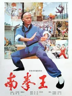南拳王 1984 The South Shaolin Master [中国香港/中国大陆] 豆瓣：6.8