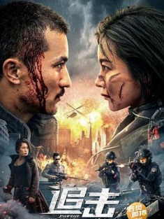 追击 (2023) / 特警使命之雷霆出击 / Pursuit.2023.2160p.WEB-DL.H265.AAC / 阿里云盘资源
