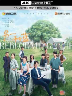 另一种蓝 (2024) / Reblooming Blue / 4K电视剧下载