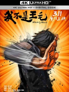 我不是王毛 (2014) Wang Mao/中国大陆/豆瓣: 8.0