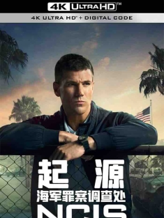 海军罪案调查处：溯源 NCIS: Origins (2024) 海军罪案调查局：起源 [美国]豆瓣: