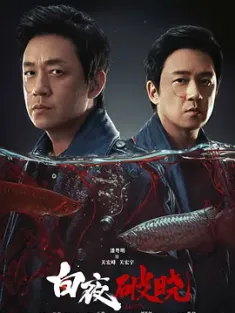 白夜破晓 (2024) 白夜追凶2/白夜追凶II/白夜追凶 第二季/中国大陆/豆瓣: