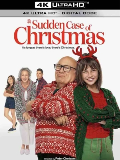 A Sudden Case of Christmas (2024) /意大利/英国/豆瓣: