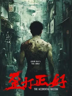 歪打正好 2025 云开日出/浪琴之约/The Accidental Success