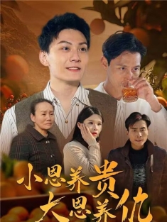 《小恩养贵大恩养仇》短剧高清全集免费在线观看播放完整版