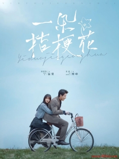 《一朵桔梗花》短剧高清全集免费在线观看播放完整版