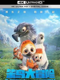 笨鸟大冒险 (2021) /中国大陆/豆瓣: