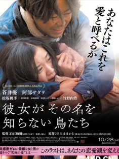 她不知道名字的那些鸟儿 彼女がその名を知らない鳥たち 2017 [日本] 豆瓣:6.9