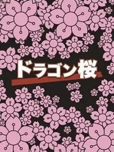 龙樱 ドラゴン桜 (2005) 东大特训班/Dragon Zakura/日本/豆瓣: 8.8