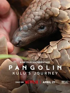 穿山甲Kulu的旅程 Pangolin: Kulu’s Journey 2025 遇见穿山甲:非常疗愈之旅/Pangolin
