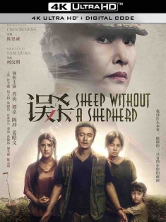 误杀 (2019) 误杀瞒天记中国版/Sheep Without a Shepherd/Visual/中国大陆/豆瓣: 7.5