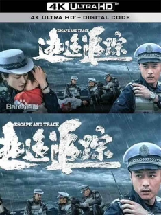 逃逸追踪 Escape.and.Track.2024.2160p.WEB-DL.H265.AAC