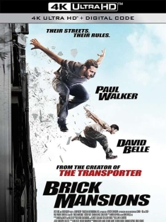 暴力街区 Brick Mansions (2014) 玩命特区(台)/暴力禁区(港)/公寓追凶