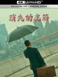 消失的皮箱 (2020) /中国大陆/豆瓣: