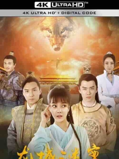 龙城谜案 (2024) / 4K电影下载 / Long.Cheng.Mi.An.2024.2160p.WEB-DL.HEVC.DDP.2Audios