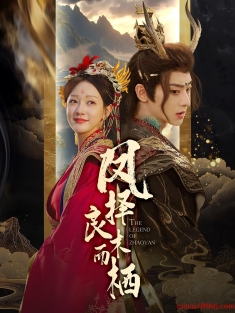 《凤择良木而栖》短剧高清全集免费在线观看播放完整版