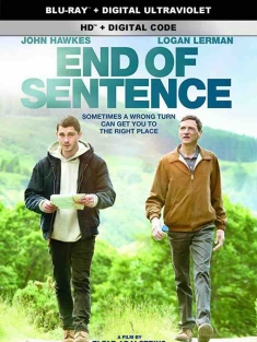 最终判决 End of Sentence (2019) 他们的意外旅程(台)/刑期结束/句末/冰岛/爱尔兰/美国/豆瓣: 7.0