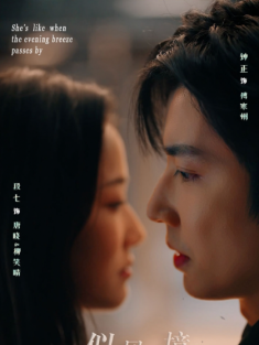 短剧《她似晚风过境时》(86集) 网盘在线观看