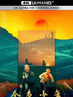 金色少年 (2024) Little Boyhood/中国大陆/豆瓣: