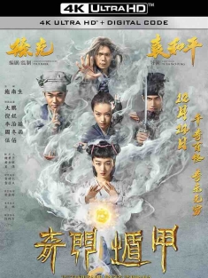 奇门遁甲 (2017) The Thousand Faces of Dunjia/中国大陆/中国香港/豆瓣: 4.4