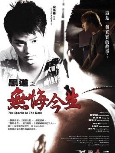 黑道之无悔今生 (2008) / The Sparkle in the Dark / 4K电影下载 / 阿里云盘分享 / The.Sparkle.in.the.Dark.2008.2160p.WEB-DL.H265.AAC