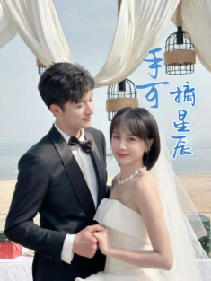 短剧《手可摘星辰》(80集) 网盘在线观看