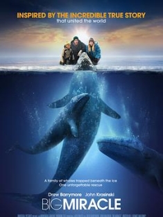 鲸奇 Big Miracle (2012) / 鲸奇之旅(台) / 人人都爱鲸鱼 / 巨大奇迹 / 4K电影下载 / 夸克网盘分享 / Big.Miracle.2012.2160p.HQ.WEB-DL.H265.AAC